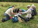 Shropshire entomologists in action