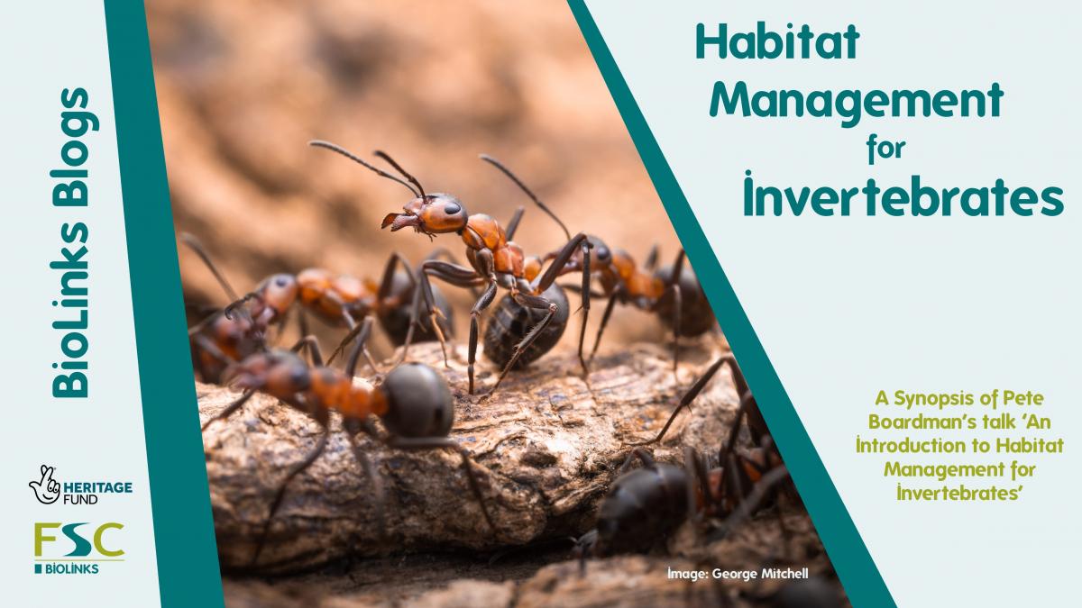 Habitat Management Promo Image
